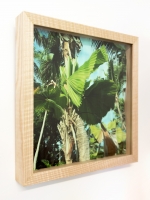 Archival print, Flemish glass 2018