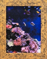 26_jhanamillersgallery-erica-van-zon-coral-reef-tank-2024.jpg