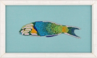 26_jhanamillersgallery-erica-van-zon-pavements-of-pearl-the-sunset-wrasse-2024.jpg