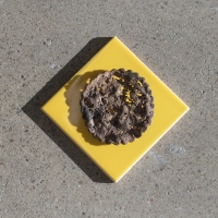 Nothing Compares to You 2017 27_ericanothing-compares-to-youlg-copy.jpg